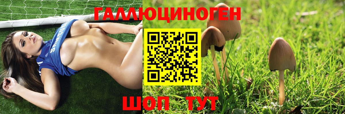 Галлюциногенные грибы Cubensis  Псилоцибиновые грибы Psilocybe  Озёрск  Вход с VPN 